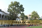 116.jpg