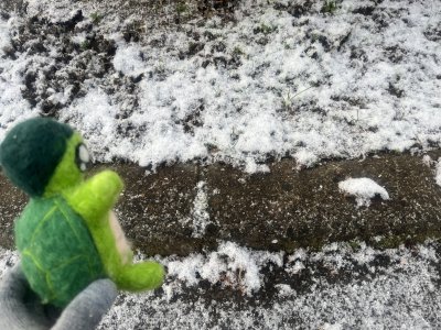 20250320_由美子老師的雲端(蝸存)