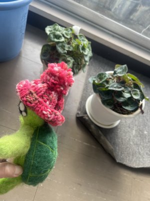 20250320_由美子老師的雲端(蝸存)