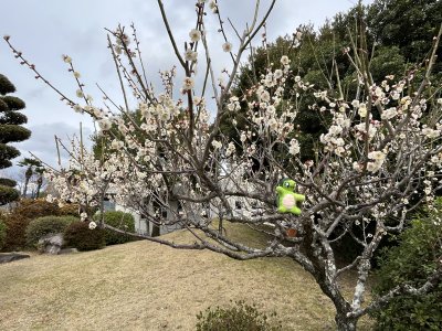 20250320_由美子老師的雲端(蝸存)