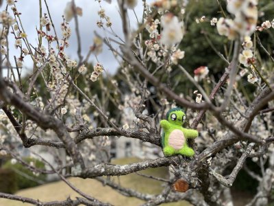 20250320_由美子老師的雲端(蝸存)