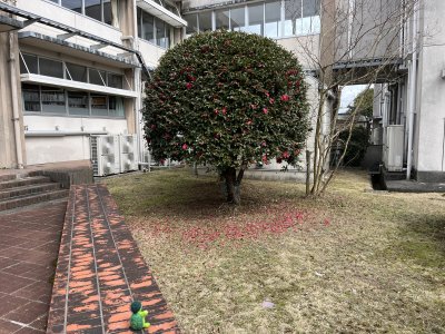 20250320_由美子老師的雲端(蝸存)