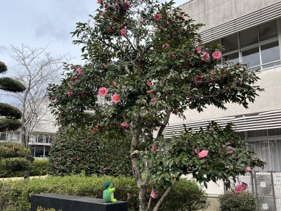 20250320_由美子老師的雲端(蝸存)