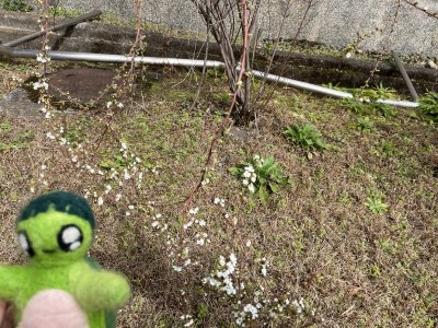 20250320_由美子老師的雲端(蝸存)