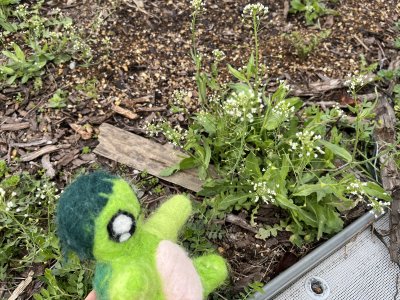 20250320_由美子老師的雲端(蝸存)