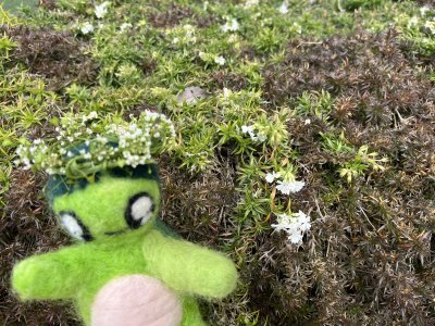 20250320_由美子老師的雲端(蝸存)