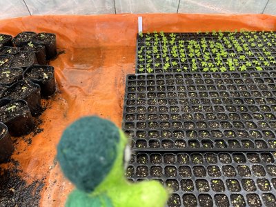 20250320_由美子老師的雲端(蝸存)