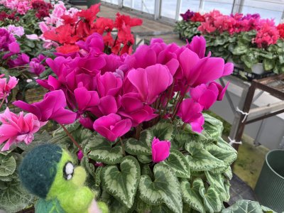 20250320_由美子老師的雲端(蝸存)