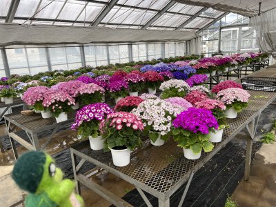 20250320_由美子老師的雲端(蝸存)