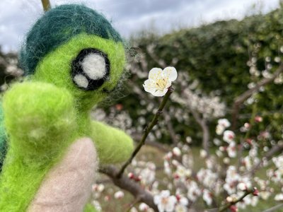 20250320_由美子老師的雲端(蝸存)