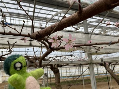 20250320_由美子老師的雲端(蝸存)