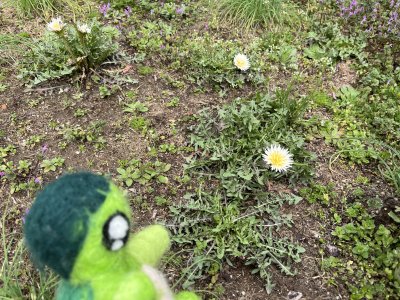 20250320_由美子老師的雲端(蝸存)