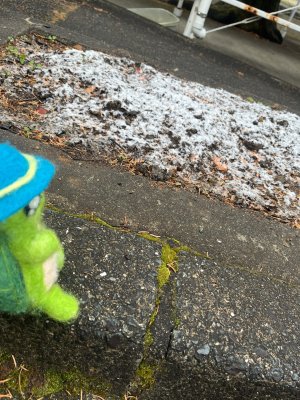 20250320_由美子老師的雲端(蝸存)