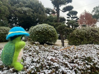 20250320_由美子老師的雲端(蝸存)