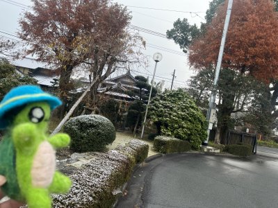 20250320_由美子老師的雲端(蝸存)