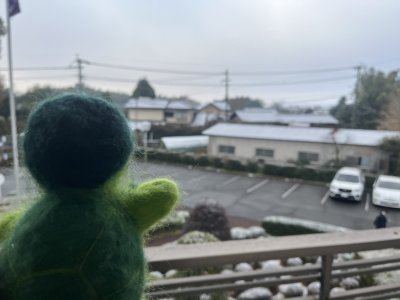 20250320_由美子老師的雲端(蝸存)