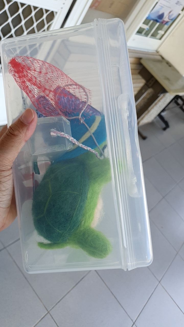 20241018龜寶外拍_蝴蝶園