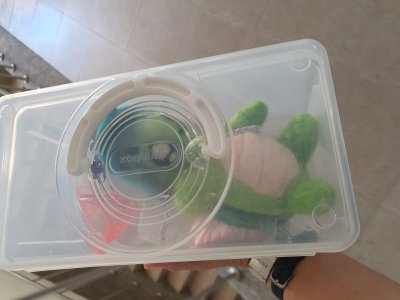 20241018龜寶外拍_蝴蝶園