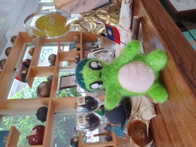 20241021龜寶外拍_新發山茶故事館