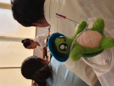 20241021龜寶外拍_新發山茶故事館