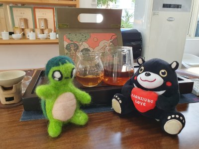 20241021龜寶外拍_新發山茶故事館