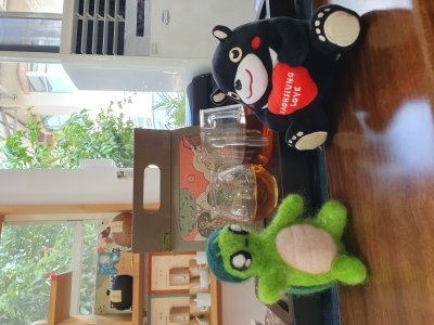 20241021龜寶外拍_新發山茶故事館