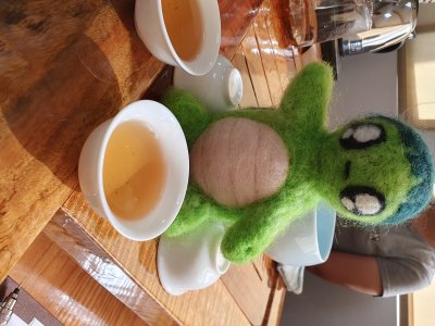 20241021龜寶外拍_新發山茶故事館