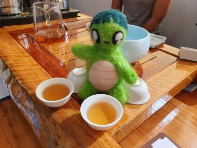 20241021龜寶外拍_新發山茶故事館